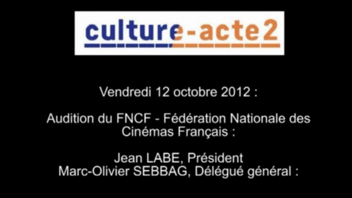 Mission culture-acte2 | audition de la FNCF - Fédération Nationale des Cinémas Français [audio]