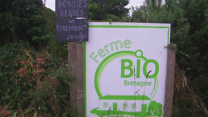 Visite de la ferme des bonnes herbes de Kerlaoudet