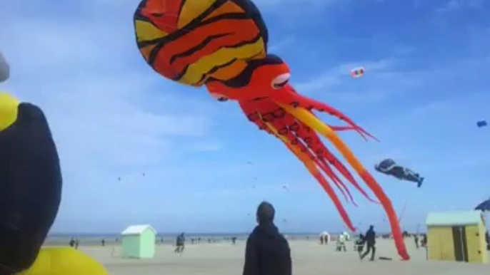 Berck : Pour faire s'envoler les cerfs-volants, il faut parfois les aider.