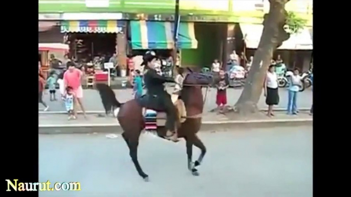 Horses Fails Compilation. So funny!