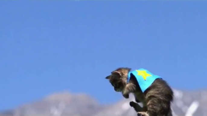 Cute super-heroes kittens flying in the sky!! Filmed in Slow Motion