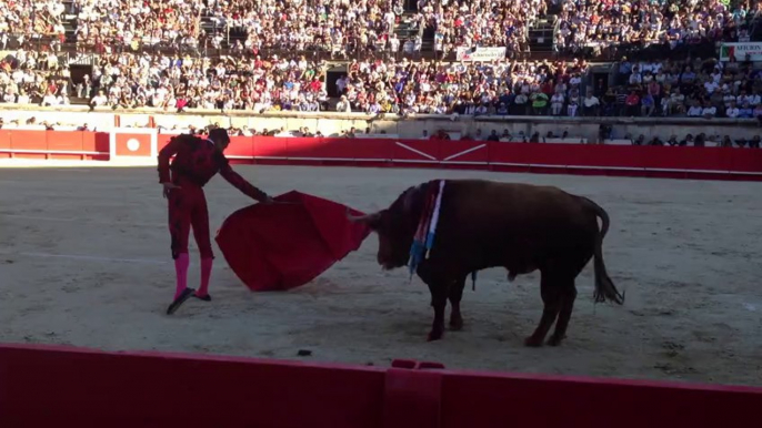 José Maria Manzanares face à un toro de Juan Pedro Domecq