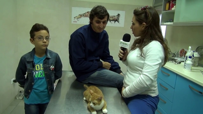 Aversa (CE) - La storia di Nanà, il gattino salvato dall'amore per gli animali (17.09.13)