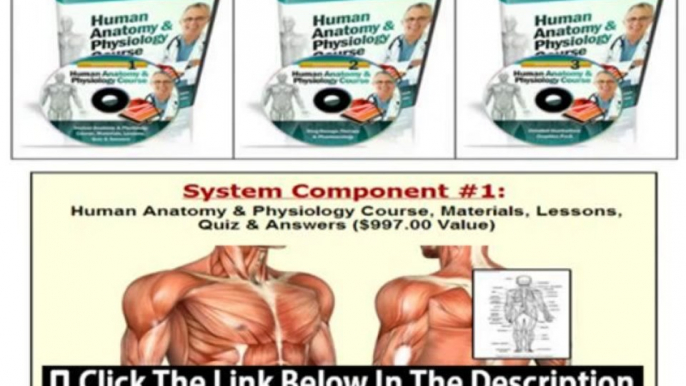 Human Anatomy Physiology Course + Human Anatomy Physiology Course Free Download