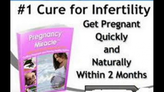 pregnancy miracle book + pregnancy miracle.