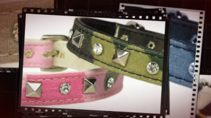 Adjustable Dog Collar