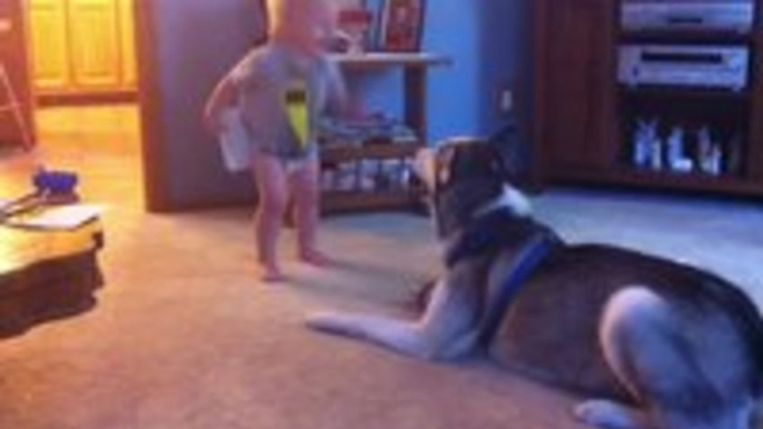 Baby and Husky have deep conversation