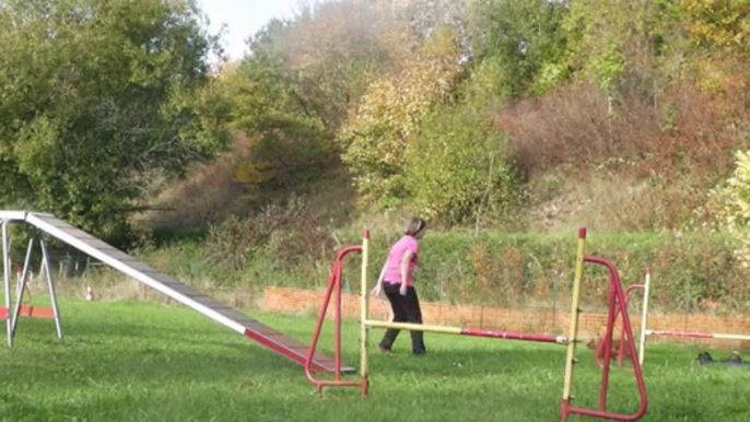 help agility septembre-octobre 2013 (15 mois)