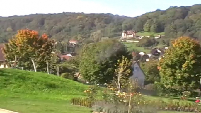 HAUTE-SAONE : UN PARC OU LE MERLE EST ROI À NOIDANS-LES-VESOUL