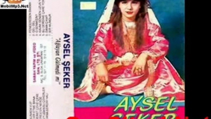 Aysel Şeker - Yürüyorum Dikenlerin Üstünde