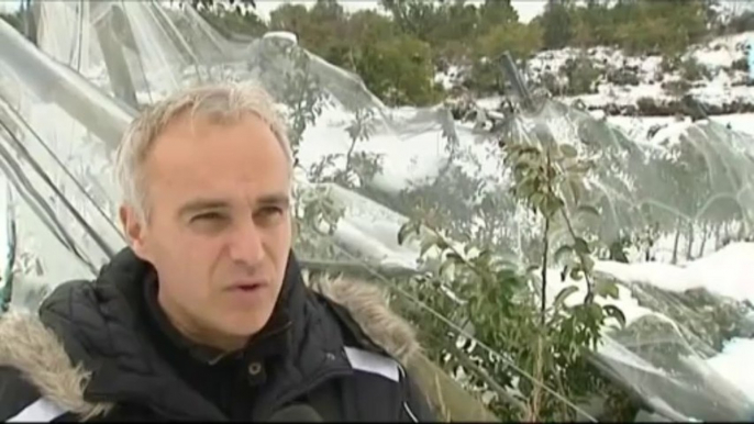 Des arbres fruitiers plient sous les fortes chutes de neige dans le Rhône