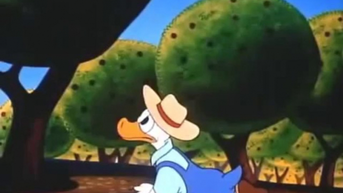 donald duck full cartoons