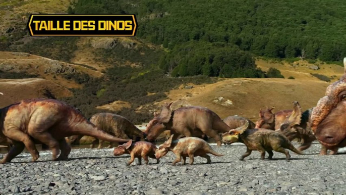 Sur la Terre des Dinosaures - Fiches Dinos - Taille des dinos [VF|HD]