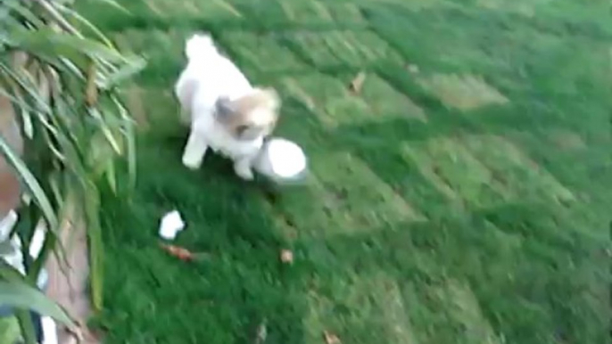 Aika de kerstbalspeler, Aika plays soccer with Christmas ball