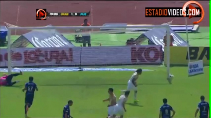 Pumas vs Puebla 1-0 Gol de (Penal) Martin Bravo Jornada 1 Clausura 2014 Liga Bancomer MX