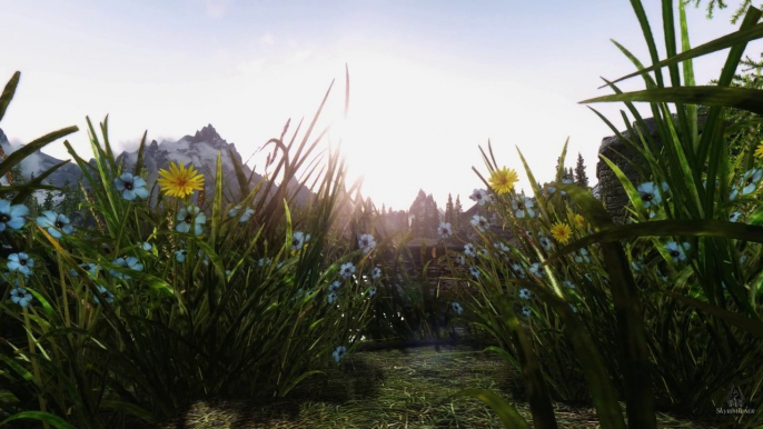 Skyrim HD - Timeless - RealVision ENB