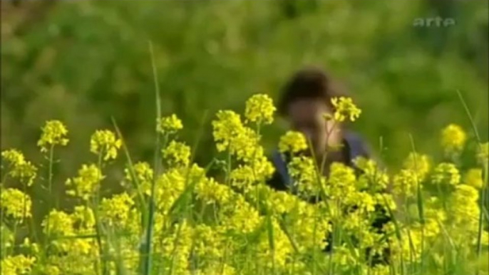 Les champs magnétiques pulsés sur ARTE