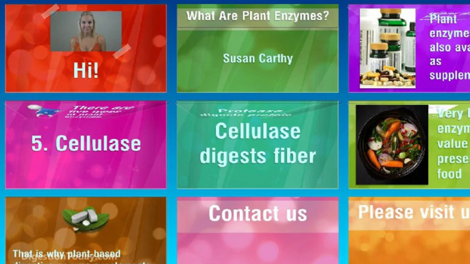 Digestive Enzymes and Probiotics: How Plant Enzymes Help In The Proper Digestion Of Food?