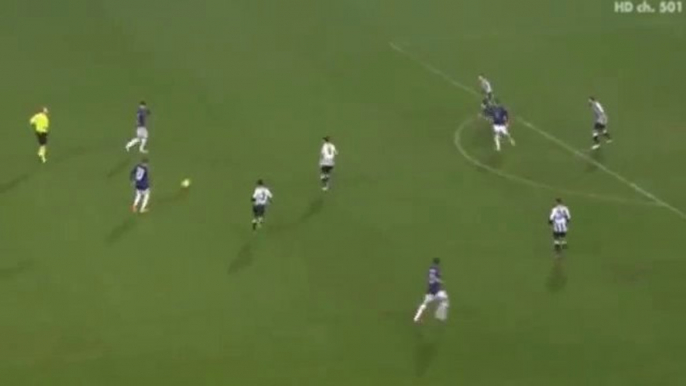 Udinese vs Fiorentina (2-1) All Goals & Highlights [4.2.2014]