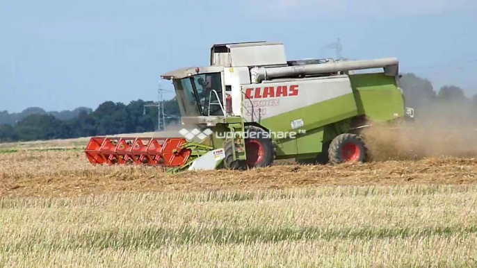 claas lexion moisson 2013