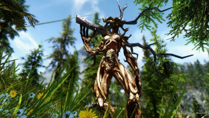 Skyrim HD - Nature's Way - RealVision-ENB