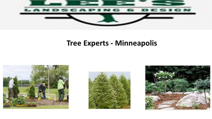 Lee's Landscaping & Design, Inc Minnesota Landscaping