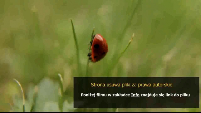 jak zrobic poradnik na zapytaj