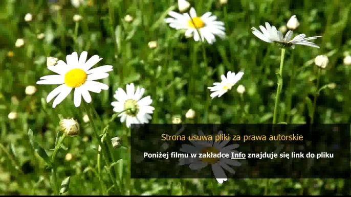 poradnik jak ukladac kostke rubika