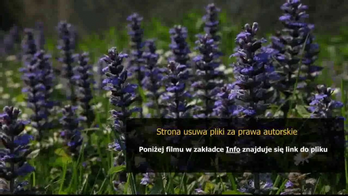 pelna instrukcja obslugi sony xperia tipo