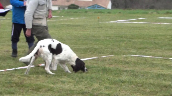 douchka championnat de france cavage 2014