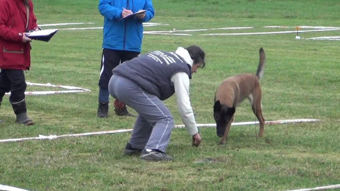 faune championnat de france cavage 2014