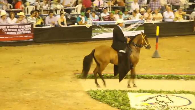 CONCOURS DE TROTE Y GALOPE COLOMBIE 2013