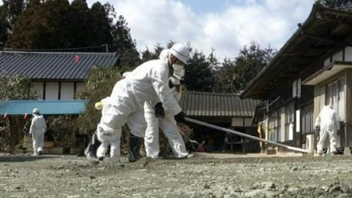 Fukushima: trois ans après la catastrophe, la décontamination se poursuit - 09/03