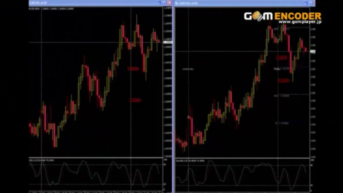 Helper-FX 最もシンプルで確実なFX投資法 実践検証 トレード 株式 投資 動画 成績 実績 特典 購入 FX 初心者 レビュー ブログ 評価 評判 詐欺