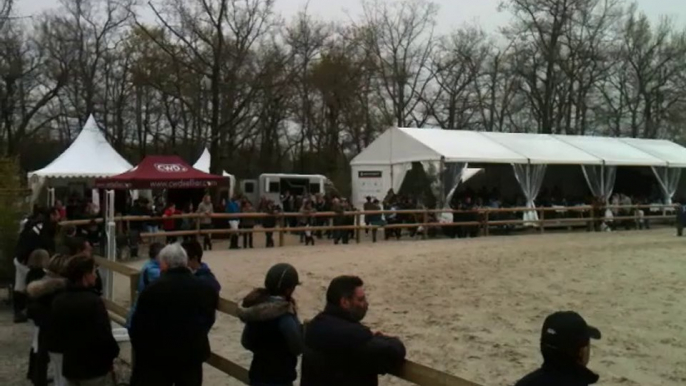 Société Hippique de Blanquefort concours de saut d'obstacles national 2