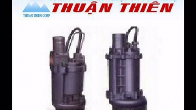 0983480880 - Giá bơm chìm nước thải ebara DW VOX300, bơm inox 304 Ebara