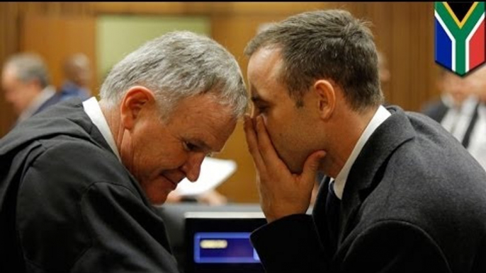 Pistorius trial: Second witness says she heard an argument following by four consecutive gunshots