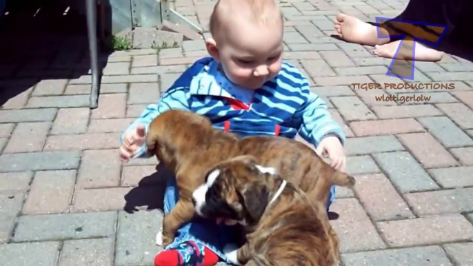 Bébés et chiens qui jouent comme des p'tits fou - Compilation adorable!