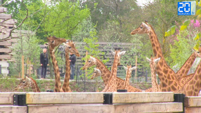 Visite du Zoo de Vincennes