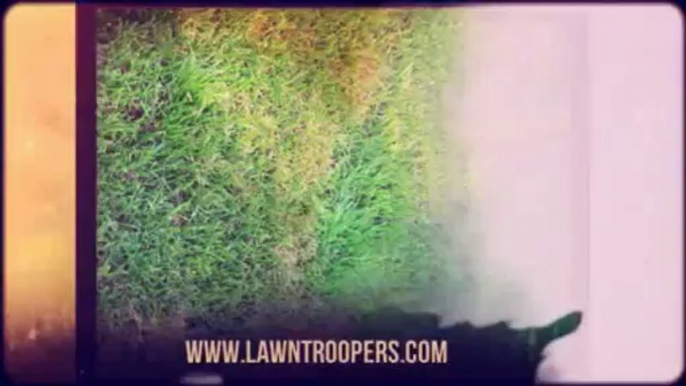 Lawn Care and Maintenance in Ontario – Lawn Troopers