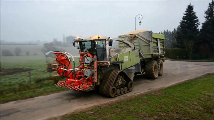 Claas Jaguar 900 with Tracks ( HD )