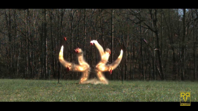 Amazing slow motion explosion : Apple Tree Shaped Det Cord Explosion