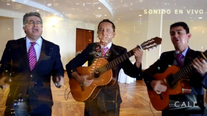 TRIO DE CUERDAS BOGOTA SERENATA CUMPLEAÑOS NOVIAS BODAS