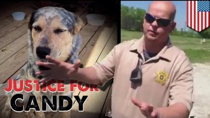 Animal cruelty: Deputy fired after he shoots dog in head and leaves it to suffer