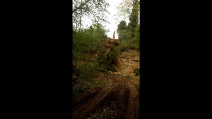 La Chute de l'Arbre aux Fossilles