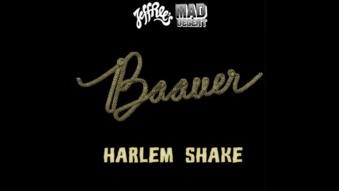 Baauer - Harlem Shake (DJ Romani Remix)