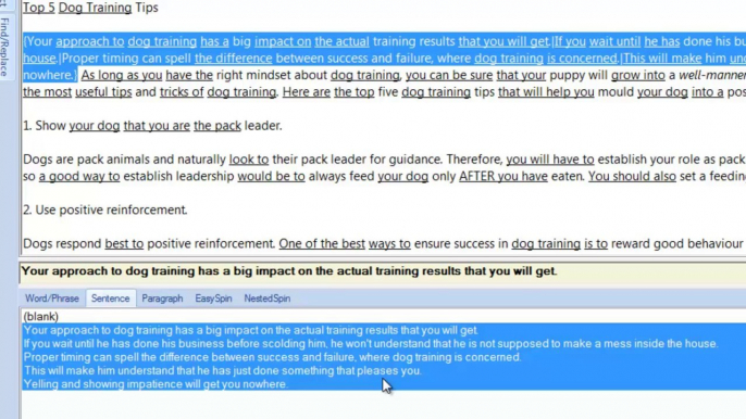 4.Working with the Spinner - Manually Spinning Sentences and Paragraphs-TBS 2-4