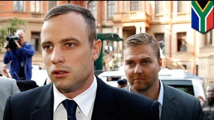 Oscar Pistorius murder trial day 23: forensic expert Roger Dixon supports athlete's claim