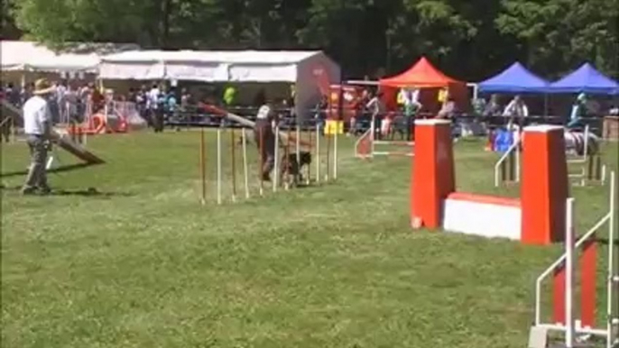 Agility trophée cibeins dolce manche 1