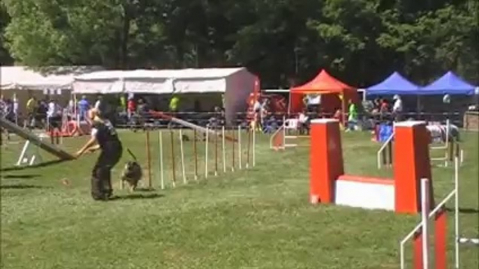 Agility trophée 14 cibeins Daïko manche 1